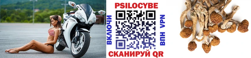Галлюциногенные грибы Magic Shrooms  Купить  Дорогобуж 