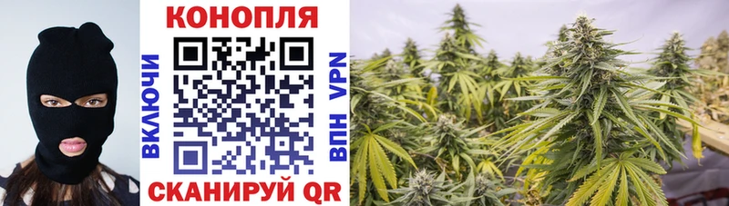 Купить  Дорогобуж  Канабис OG Kush 